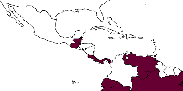 map of Aenasius bolowi     Mercet, 1947